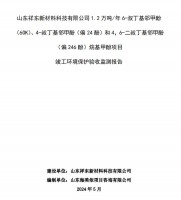 山東祥東新材料科技有限公司1.2萬噸/年6-叔丁基鄰甲(60K)、4-叔丁基鄰甲酚(偏 24 酚)和 4，6-二叔丁基鄰甲酚(偏 246 酚)烷基甲酚項(xiàng)目竣工環(huán)境保護(hù)驗(yàn)收監(jiān)測(cè)報(bào)告